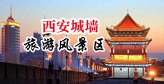插小穴视频黑人大吊中国陕西-西安城墙旅游风景区