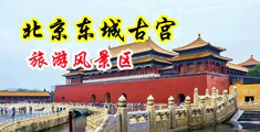 淫女吹箫视频中国北京-东城古宫旅游风景区